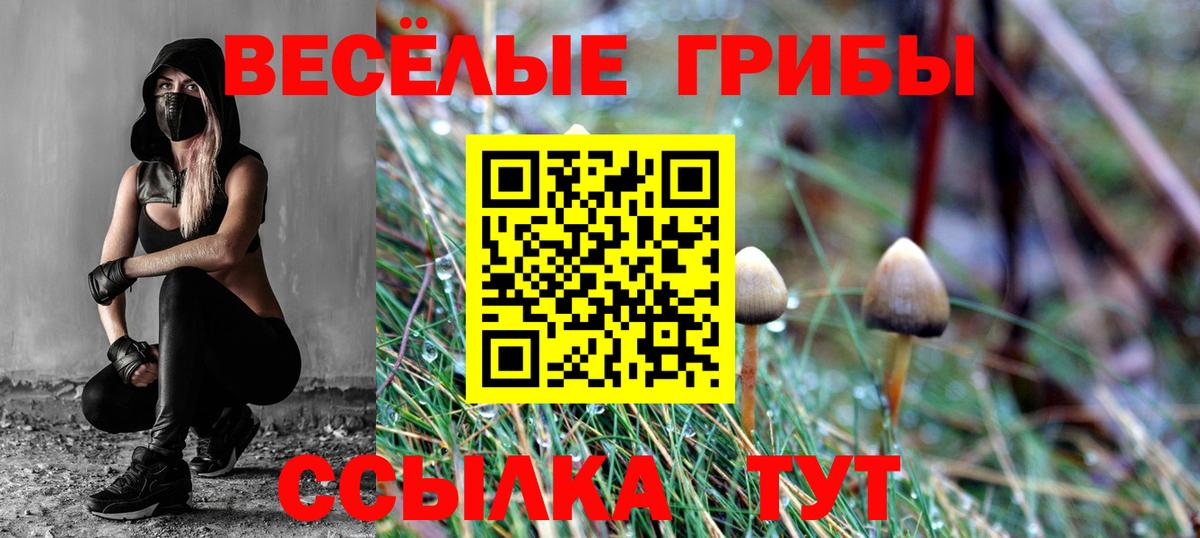 Соликамск  Псилоцибиновые грибы прущие грибы  Вход с VPN  Галлюциногенные грибы ЛСД 